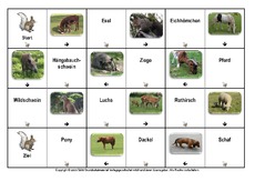 Domino-Heimische-Tiere-1.pdf